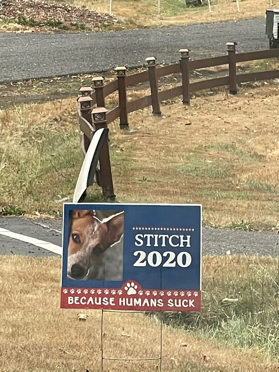 andysound_'s tweet photo. You got my vote #stitch2020 https://t.co/uJSfRYgT6K
