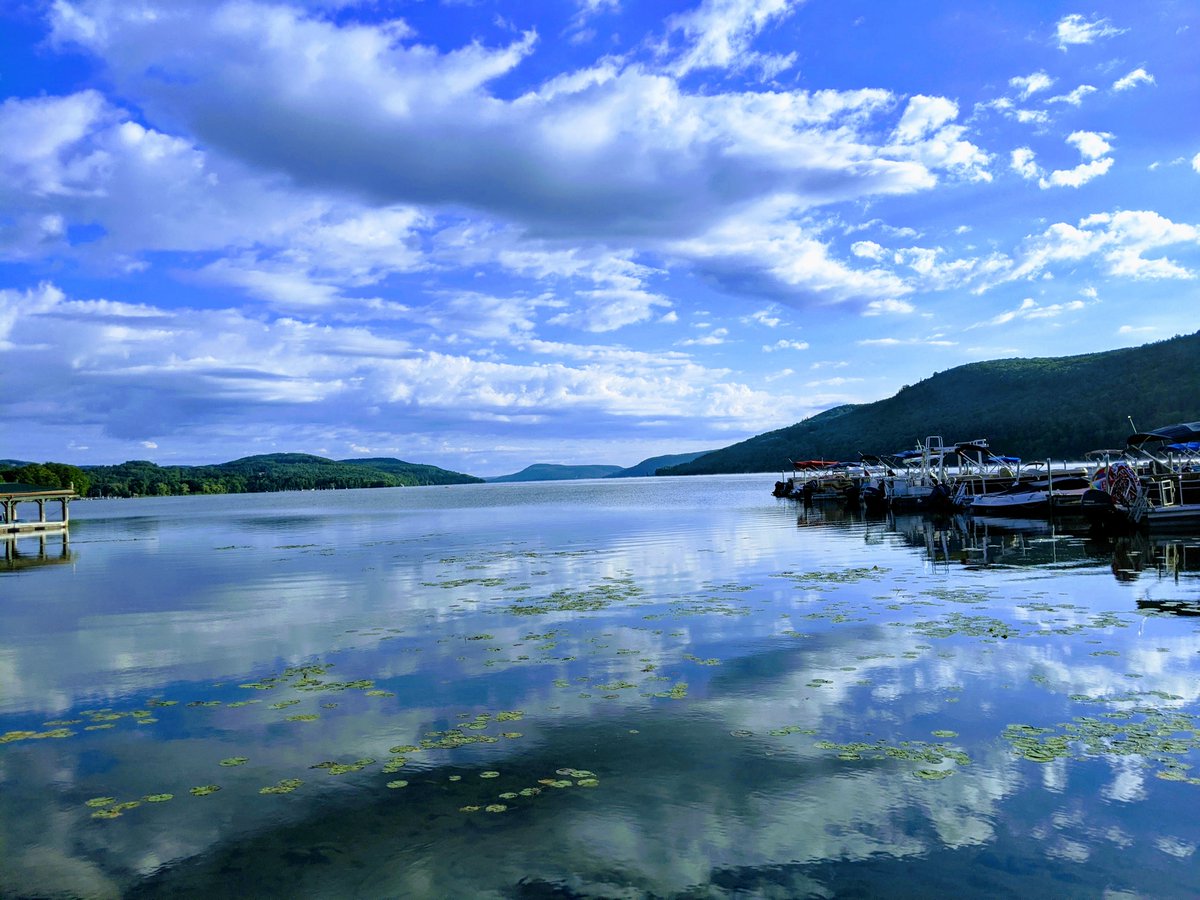 Paperkite tweet media