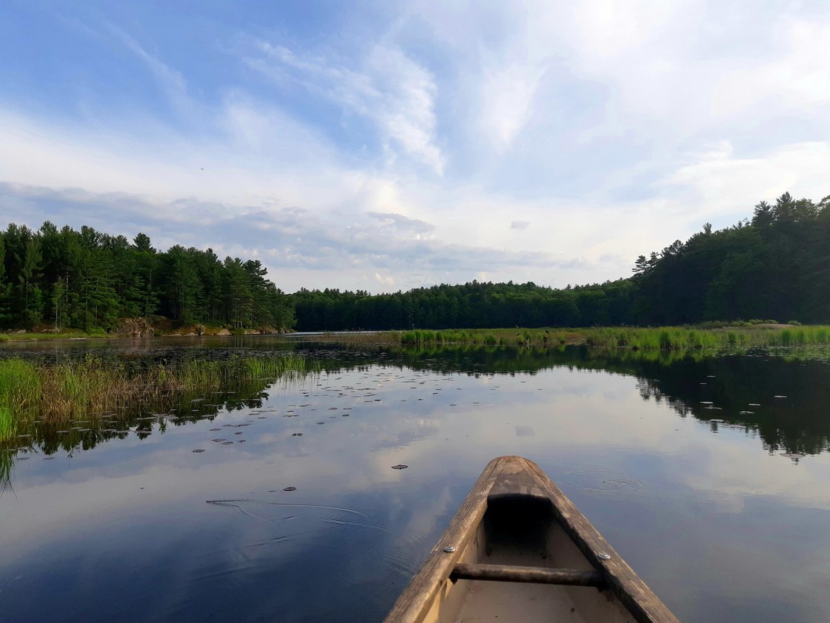 Planning a family camping trip this summer? Add fishing to the agenda! 

Before you head out, take the #LearntoFishOnline program to get the basics. It includes:
•how-to videos
•quizzes
•activities
•and more!

ontario.ca/page/learn-fis…