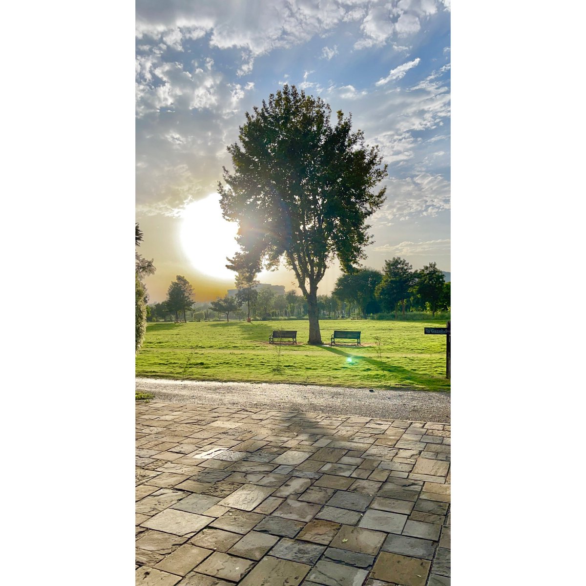 rezzalyshah's tweet photo. Beautiful Post Rain Evening at Capital Park .. Clean & Green 🌲 #PhotobyRezz https://t.co/95H1dl8nHJ