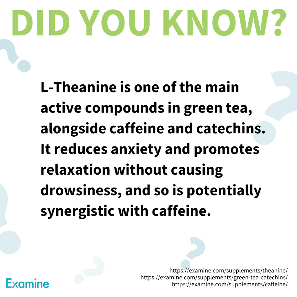 Examinecom's tweet image. L-Theanine is one of the main active compounds in green tea, alongside caffeine and catechins. It reduces anxiety and promotes relaxation without causing drowsiness. 

Read more on L-theanine: examine.news/tw0830

#examined #greentea #caffeine #anxiety #relax