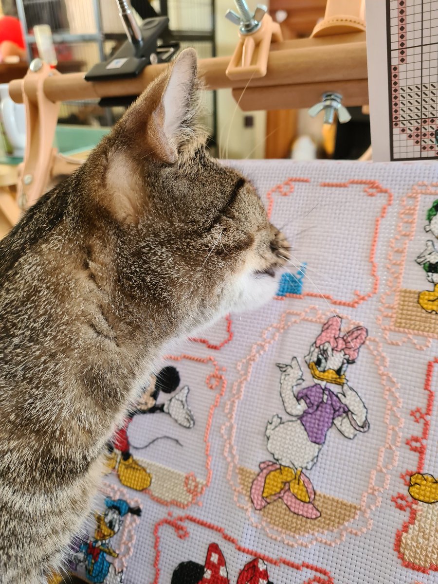 My latest fur baby helping me to cross stitch today.