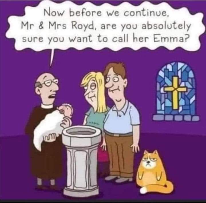 Linda73550836's tweet photo. #PoorEmma https://t.co/gkRprlDnmw