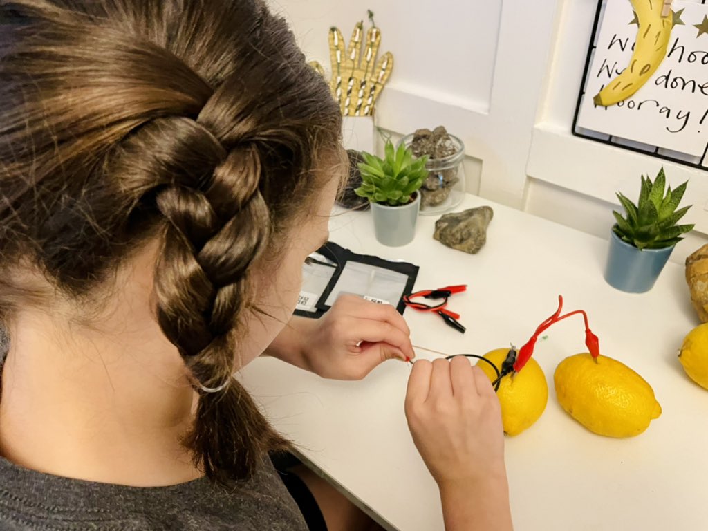 AstroLizsLab's tweet photo. When life hands you lemons, power a light bulb! 🍋💡 Eat, sleep, STEM, repeat! #LemonBattery #STEM #GirlsInSTEM #STEMPowered #STEMDaily #AstroLiz https://t.co/hBtlvASeuV
