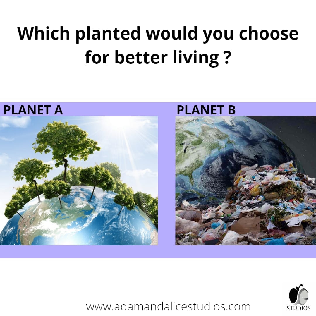 Which #planted would you choose for #better #living .?? 🌍🌏 @adamandalicestudios
@uk <a href="/london/">London</a> 
.
.
#adamandalicestudios ♨️♨️
.
#planted #sustainability #sustainableliving #sustainable #plantedaquarium #plantedliving