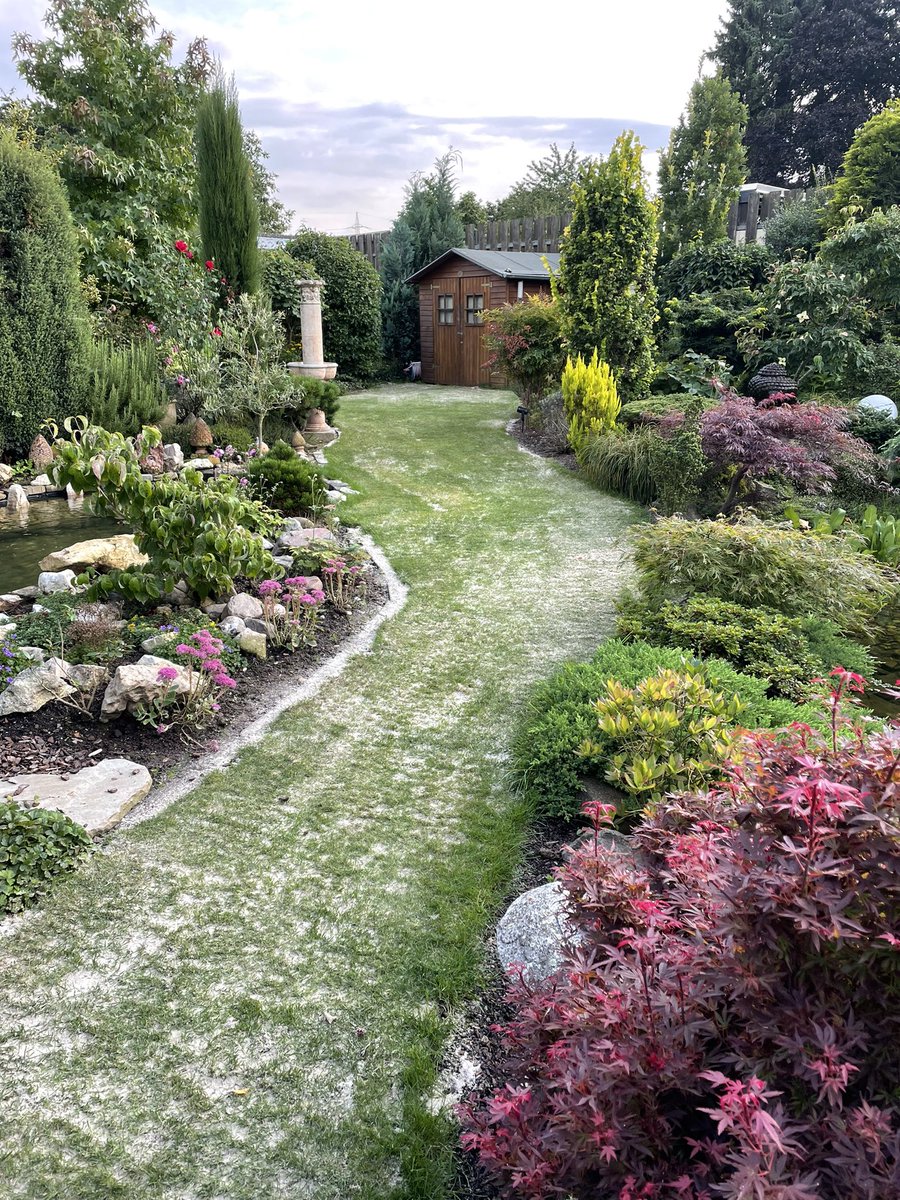 Andreas Krause tweet media