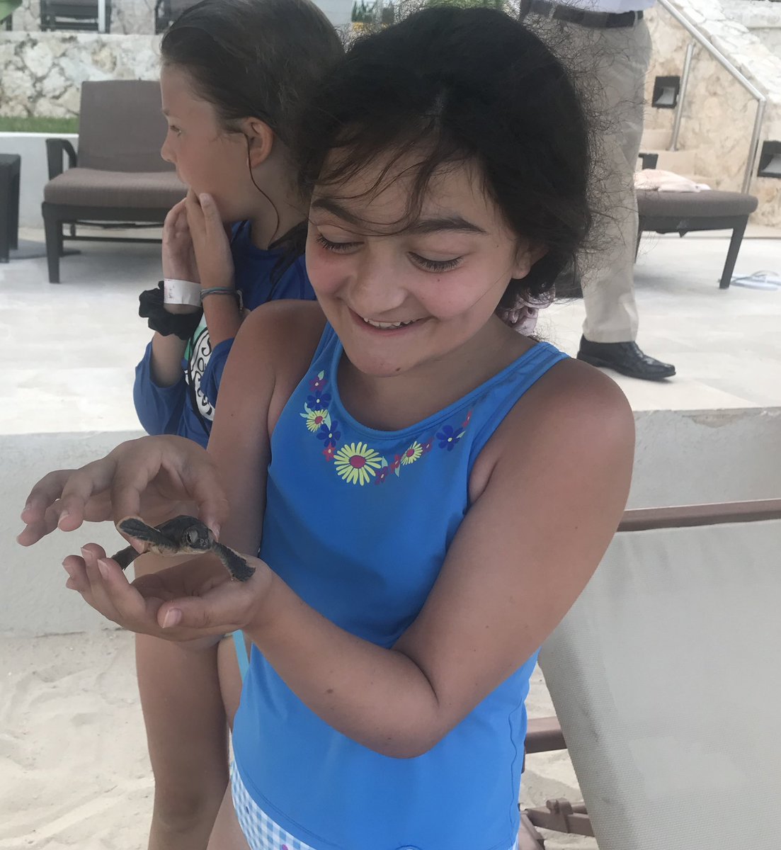 In love with this weeks #Too4Theme of #Top4Tiny 

Tag hosts, add your pics & retweet @Giselleinmotion @CharlesMcCool @perthtravelers @Touchse 

My niece holding a baby alligator, New Orlesns
Bee in my garden 
Big web but tiny spider
My daughter holding a baby sea turtle, #Cancun