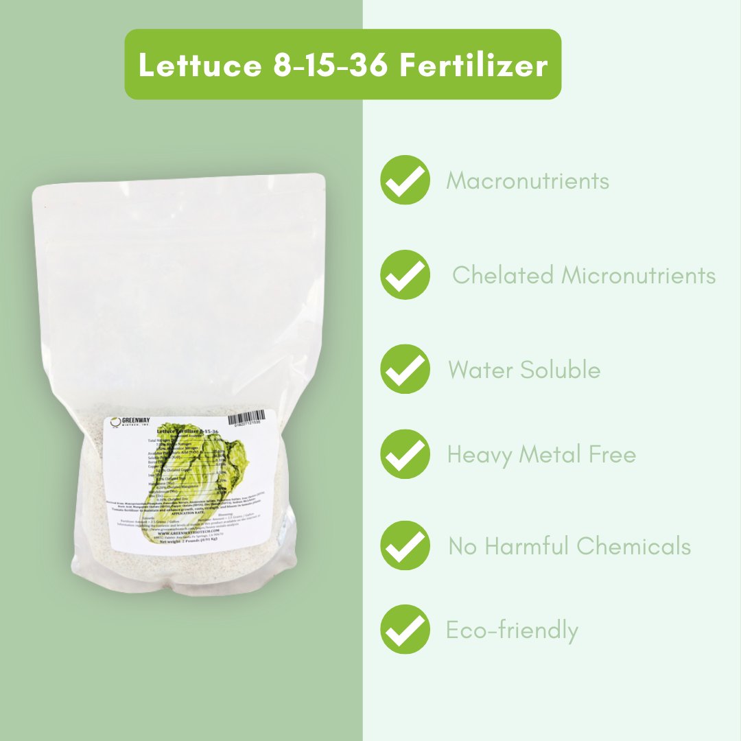 greenwaybiotec's tweet photo. Lettuce is a garden staple during the Fall! 😋 

Follow the link to read our latest blog post about the best fertilizer for lettuce:https://t.co/02377Up8AS

Subscribe to our email list to get 10% off your next order + be the first to know about new articles, special sales, etc. https://t.co/YT46D109ax