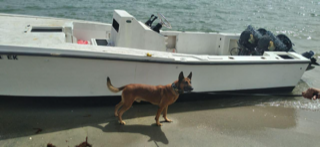 USBPDepChiefRMY's tweet photo. #USBP #RAMEYSECTOR: This weekend, #RMY #BP agents responded to smuggling events in Cabo Rojo, Rincon, Aguadilla, Cataño and Desecheo Island! Subjects were arrested and taken to Ramey Border Patrol Station for processing.

#RMY #CBIG @CBPCaribbean https://t.co/JCwHH4AoWD