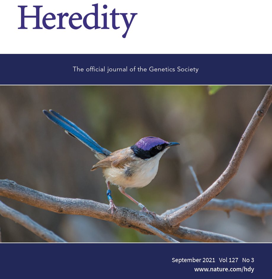 HeredityJournal's tweet photo. Our new issue is out today https://t.co/TAtv37Xgf7

#fairywren #GWAS #potato #sexchromosomes #rustdisease #hylobates #introgression #evolution #genomics #tilapia https://t.co/cUPC5jlQr5