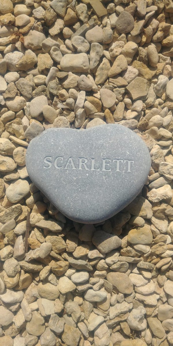 xx clair xx tweet media