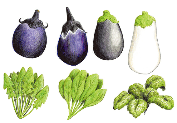 「今日は #野菜の日 らしいので。野菜の絵は探せばいっぱいある 」|堀江篤史◆イラストレーターのイラスト