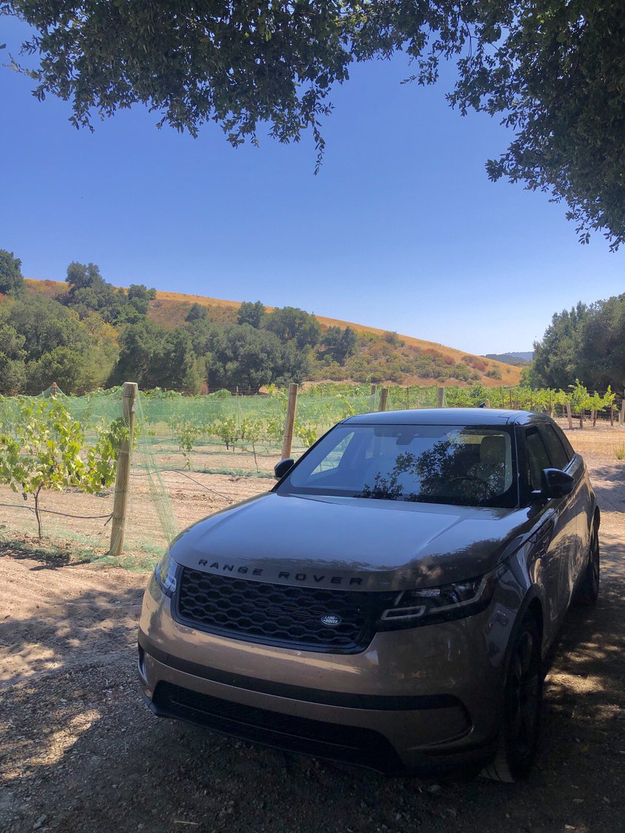 DestinationDRVR's tweet image. Wine tours booking well into October - book today to ensure availability! 🍷🍷🍷🍷