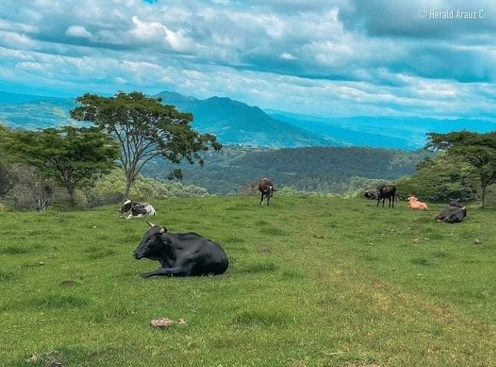 Un maravilloso y espectacular paisaje de nuestra #NicaraguaLinda 🇳🇮😍

📸 Harold Arauz, en Estelí