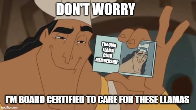 TraumaLlamas's tweet photo. Make sure to pick up your Trauma Llama Club membership card when we start minting on Sept 21st! 

🦙https://t.co/49bmlqiYPd https://t.co/bmFvyoUQpp