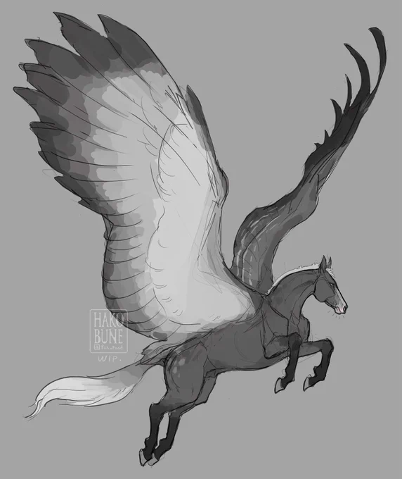 🐴ラフラフ 