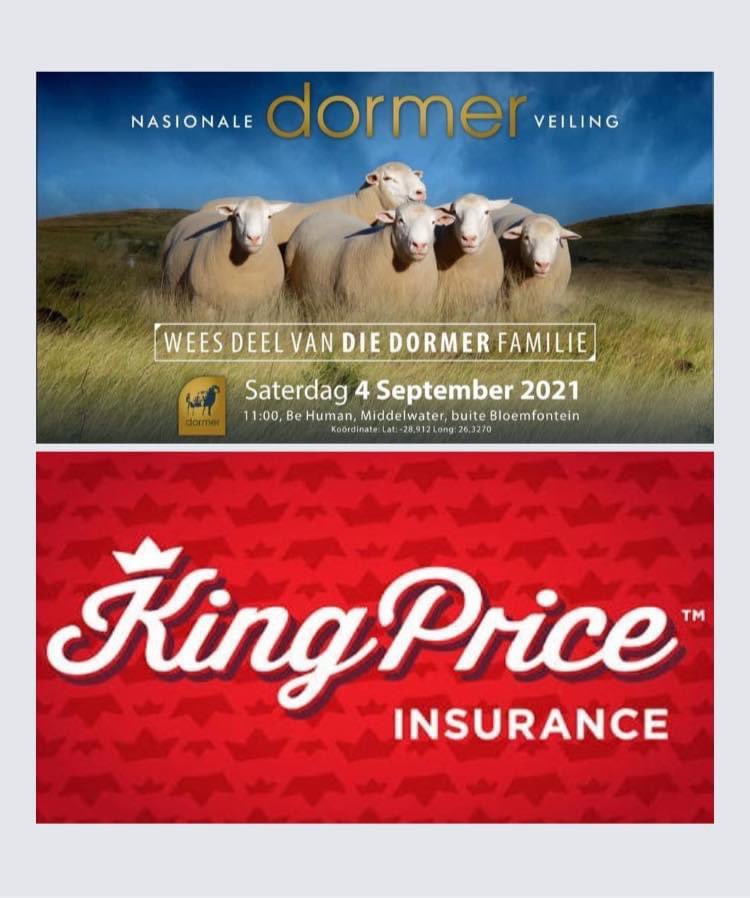 KobusStapel's tweet photo. Moenie hierdie spoggeleentheid misloop nie.  Ons Sien julle by Be Human - Middelwater Farm vir die Nasionale Dormer SA veiling.  King Price Insurance FarmSpace https://t.co/hquRO4SvfZ