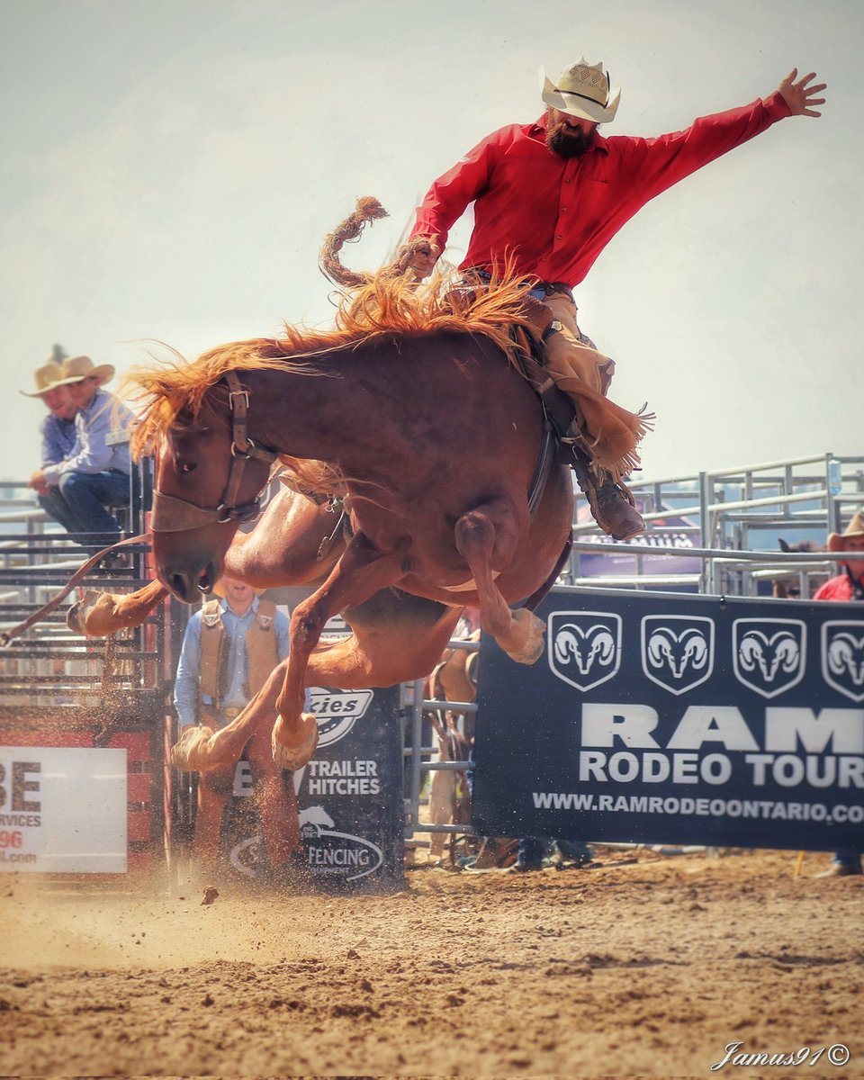 jamus91's tweet photo. Ride 'em cowboy! @RamRodeoSeries #orangevilleramrodeo https://t.co/MllqbbtDA0