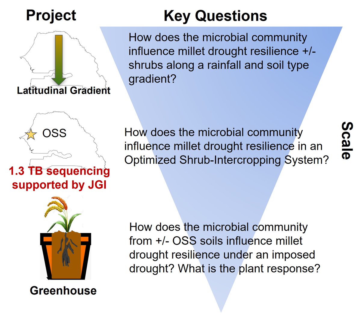 Laura Mason tweet media