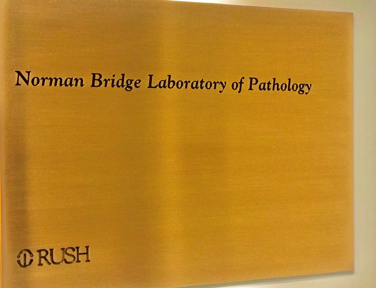 Rush_Pathology's tweet photo. Hello #MedTwitter and #PathTwitter, we are officially on social media, follow us @Rush_Pathology for an exciting roster of our department crew, news, history, challenging cases and lot more #CrossTownPath. https://t.co/BD9XYaywFb