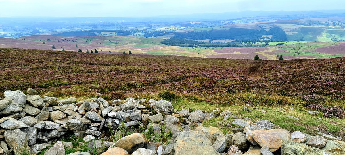 Great walk up to Moel Fferna today as part of Corwen walking festival. Thanks for the company and for organising <a href="/Corwenwalks/">Corwen Walking Fest</a>