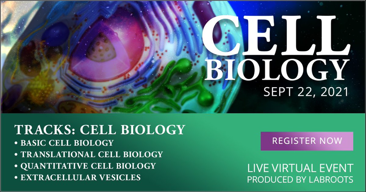 Labroots's tweet photo. Labroots is excited for the Annual Cell Biology Virtual Event! It'll provide an opportunity to discuss recent discoveries in biological research, advancements in techniques, & more!
For more info about the Cell Biology Event, click here:
https://t.co/XAakFEasHR
#LRcellbio https://t.co/FsH5TlafOs