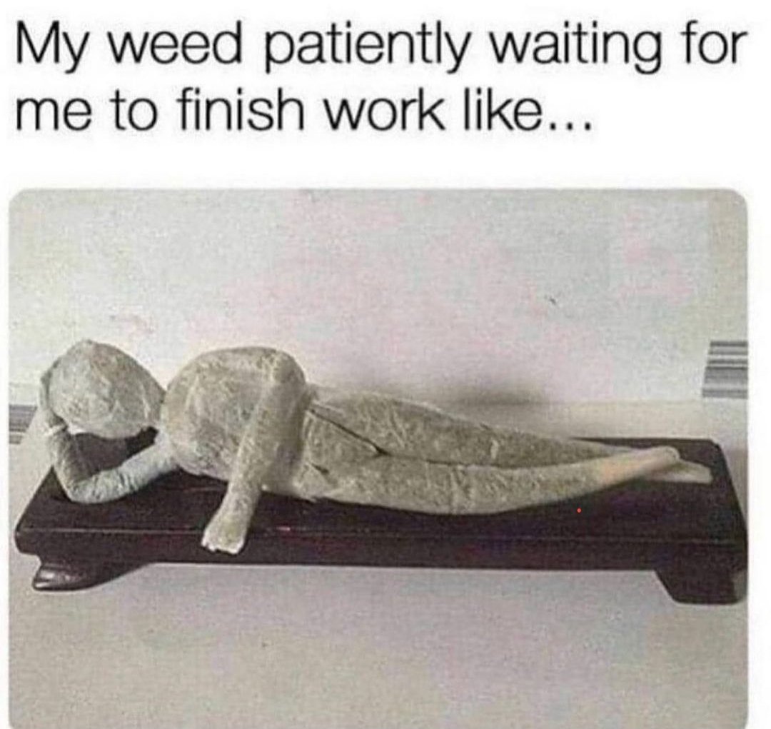 mastertokes's tweet photo. And my work day has barely ever started😅😂😭

#MEMES #weedmemes #cannabis #MondayVibes #memesdaily #weed https://t.co/IVs46fdZ68