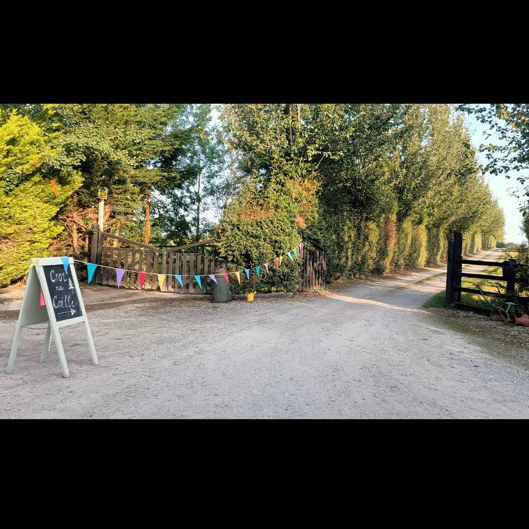 croi_na's tweet photo. Croí na Coille @ Buttercup Farm 💚

Today was a huge milestone for our school. Thank you to everyone who has helped us get to this stage, we will be forever grateful 🙏

#steinerschool #steinerinspired #croinacoilleprimaryschool #croinacoille #buttercupfarm #schoolreopening https://t.co/PZChNCXvrq