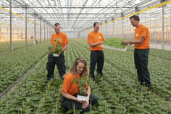 Globe Plant is 60 jaar en trakteert - <a href="/GlobePlant/">Globe Plant</a>
bpnieuws.nl/article/935041…