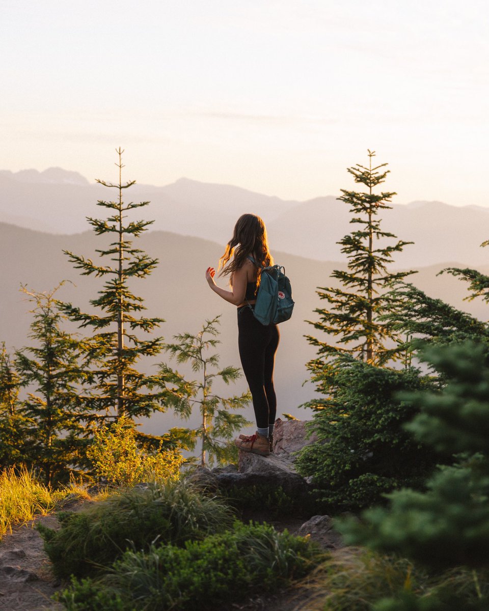 Somehow this ended up being my most liked photo on Instagram. Can we get more on Twitter?