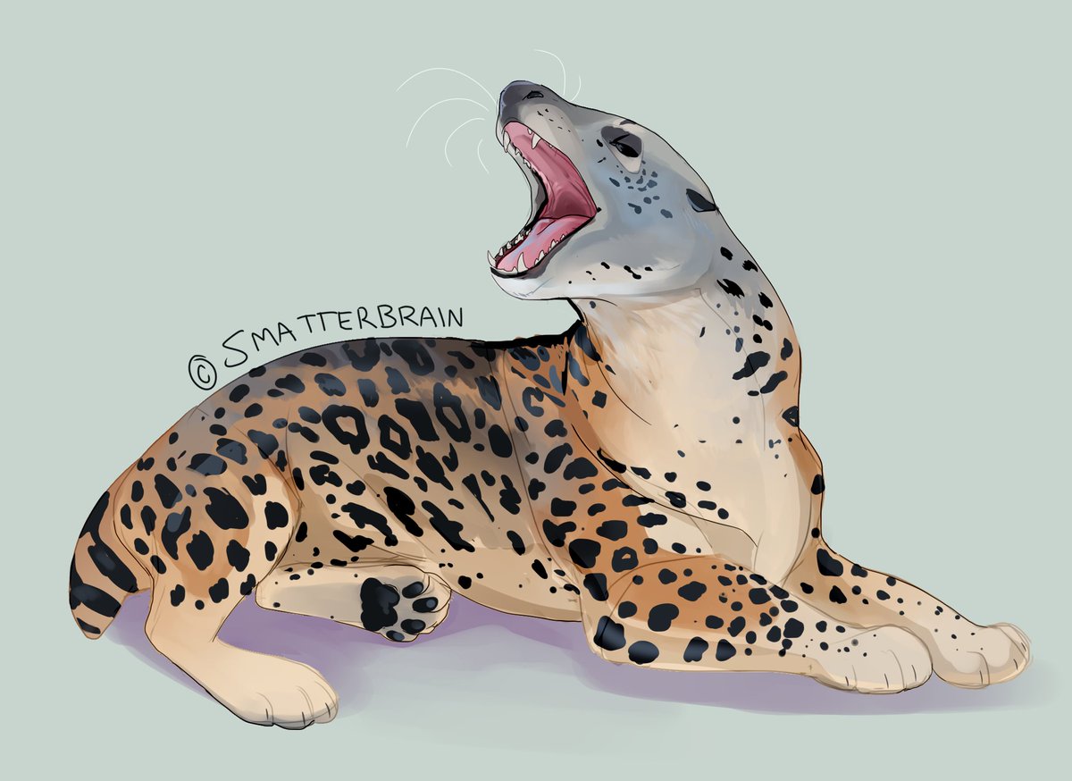 Leopard Seal.