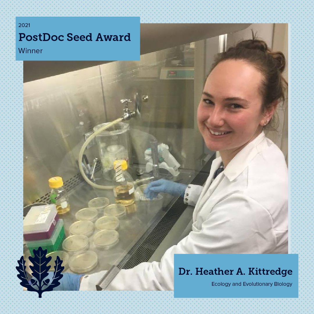The Graduate School has selected the recipients for the 2021 PostDoc Seed Award! Dr. Maria Rodgers - Ecology and Evolutionary Biology Dr. Matthew Sasaki - Marine Sciences Dr. Heather A. Kittredge - Ecology and Evolutionary Biology Learn more: grad.uconn.edu/2021/08/20/uco…