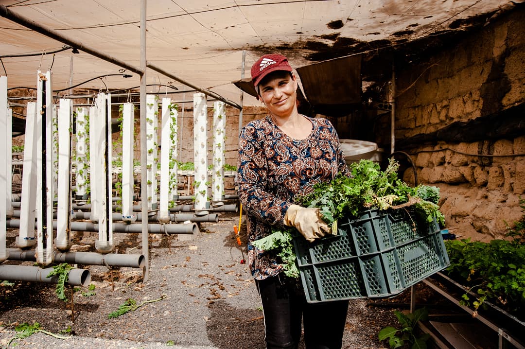 👨‍🌾🌿
Our #greenteam loves to #supportlocalfarming and #supportlocalbusiness 🥑♻️💚 at #fincalacaldera
•••
#sustainablefarm #hydroponics #tenerife #canaryislands #teamwork #sustainability #freshveggies #greenthinking