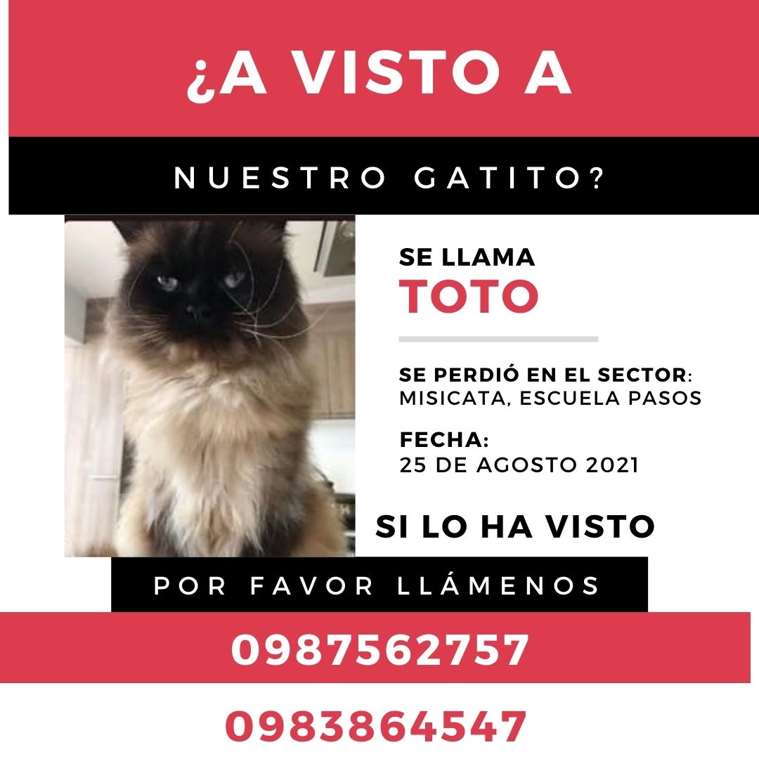 Fundacion DoNation (@donation_gives) on Twitter photo 