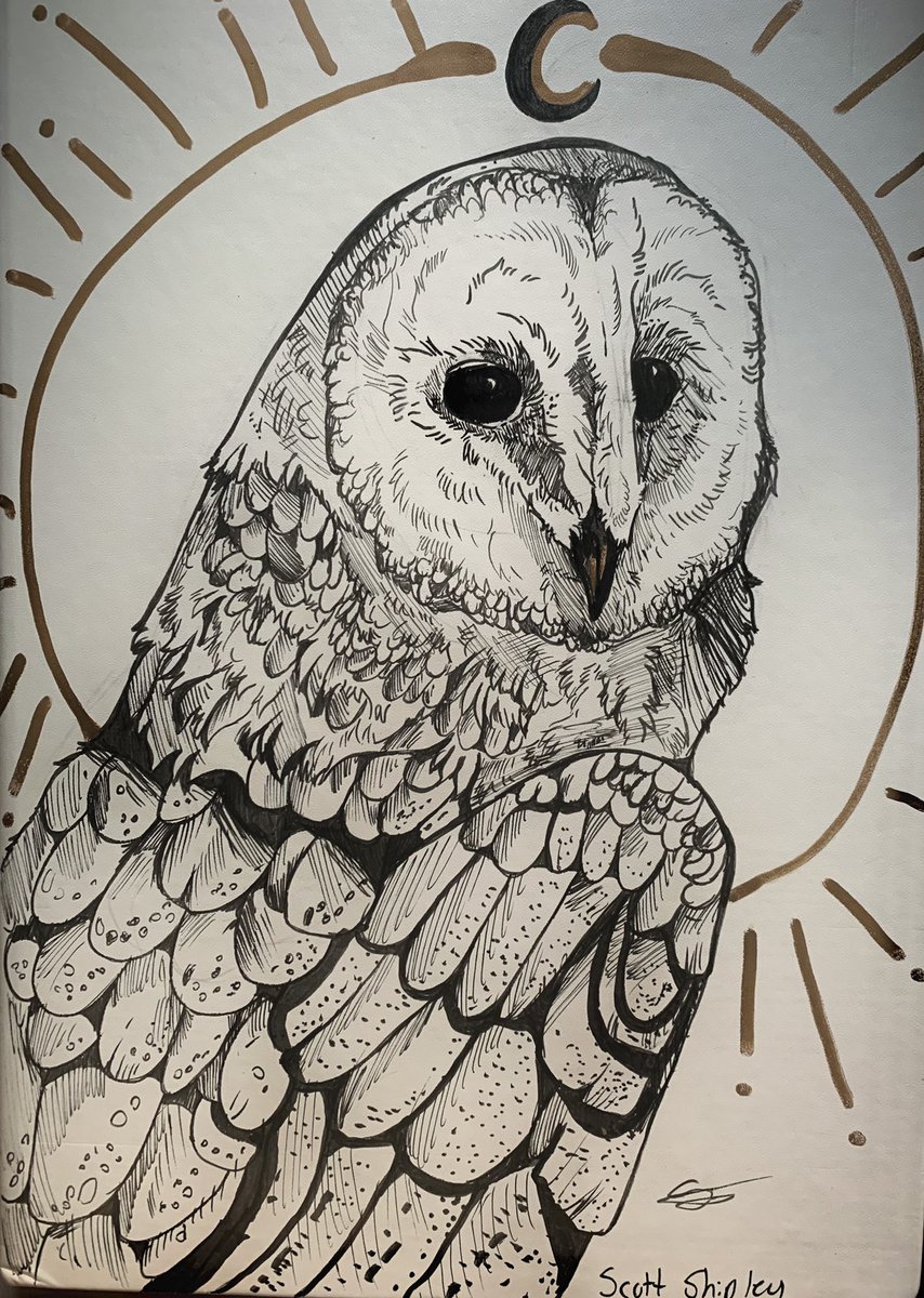 Clouded_Purpose's tweet photo. I drew a owl on my school sketch book! https://t.co/wu4Z6up33Y