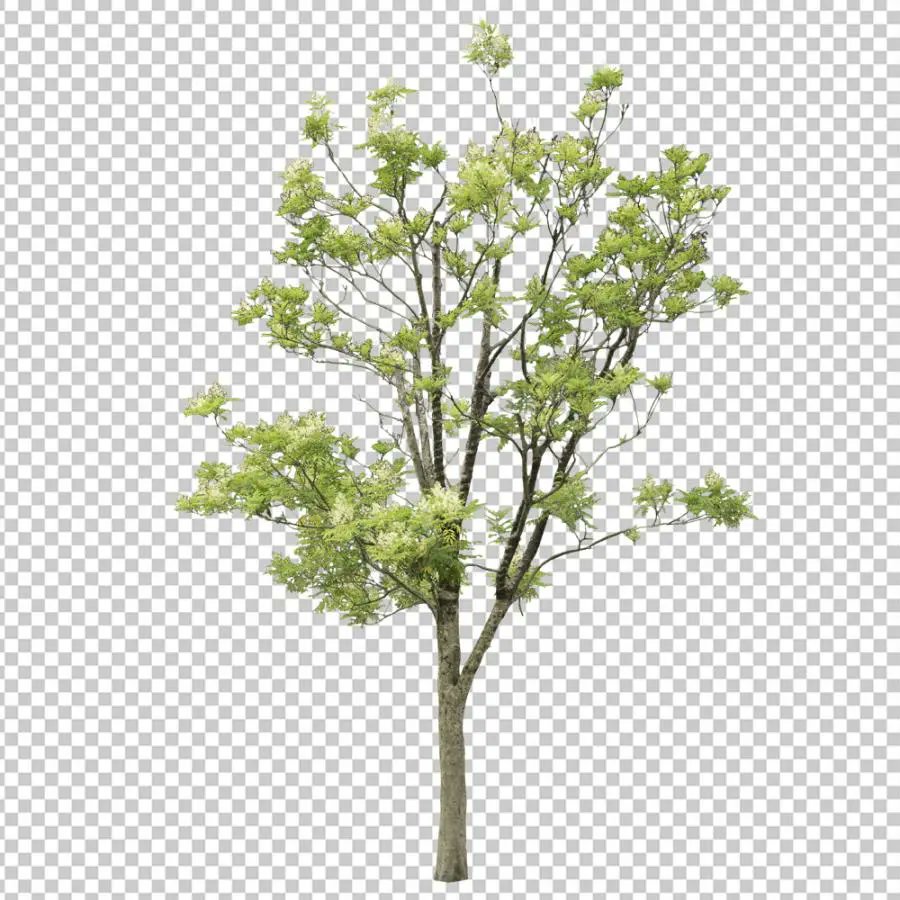 Twitter 上的 3dmodeljapan 添景植栽紹介 パースのクオリティをもう少し上げたいときに役立つ添景植栽 高木編 中木編 花編とジャンルごとに分かれていて便利 ダウンロードはこちらより T Co Aitsxdpb1r 3dmj 植栽 レタッチ パース T Co