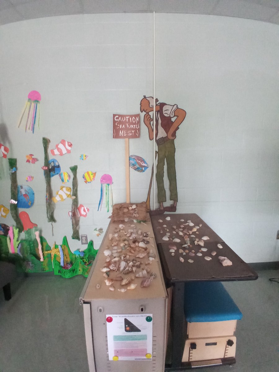 ArmesFarm's tweet photo. Clarence decided to take up snorkeling. The BFG volunteered to watch over the sea turtle nest. This is our awesome reading corner.  We are currently studying Oceanography.  We are adopting a sea turtle from the conservancy.  My students made the ocean and reef. https://t.co/RoZ3s3WPyN