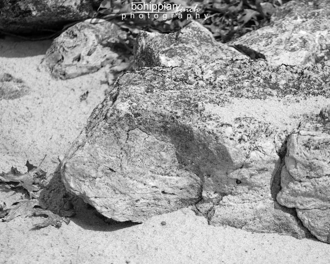bohippianfinch's tweet photo. Black & White Rocks in the Sand 20x16 Poster
https://t.co/g45GRyXKA5
#photography #zazzlemade #zazzle #zazzlesale #posterprints #smallbusiness #sand #rocks #stones #pebbles #inthesand #beachsand #beachrocks #rockphotography #blackandwhitephotography https://t.co/ralc78Ciwr