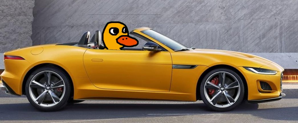 lemoduck's tweet image. Lets go