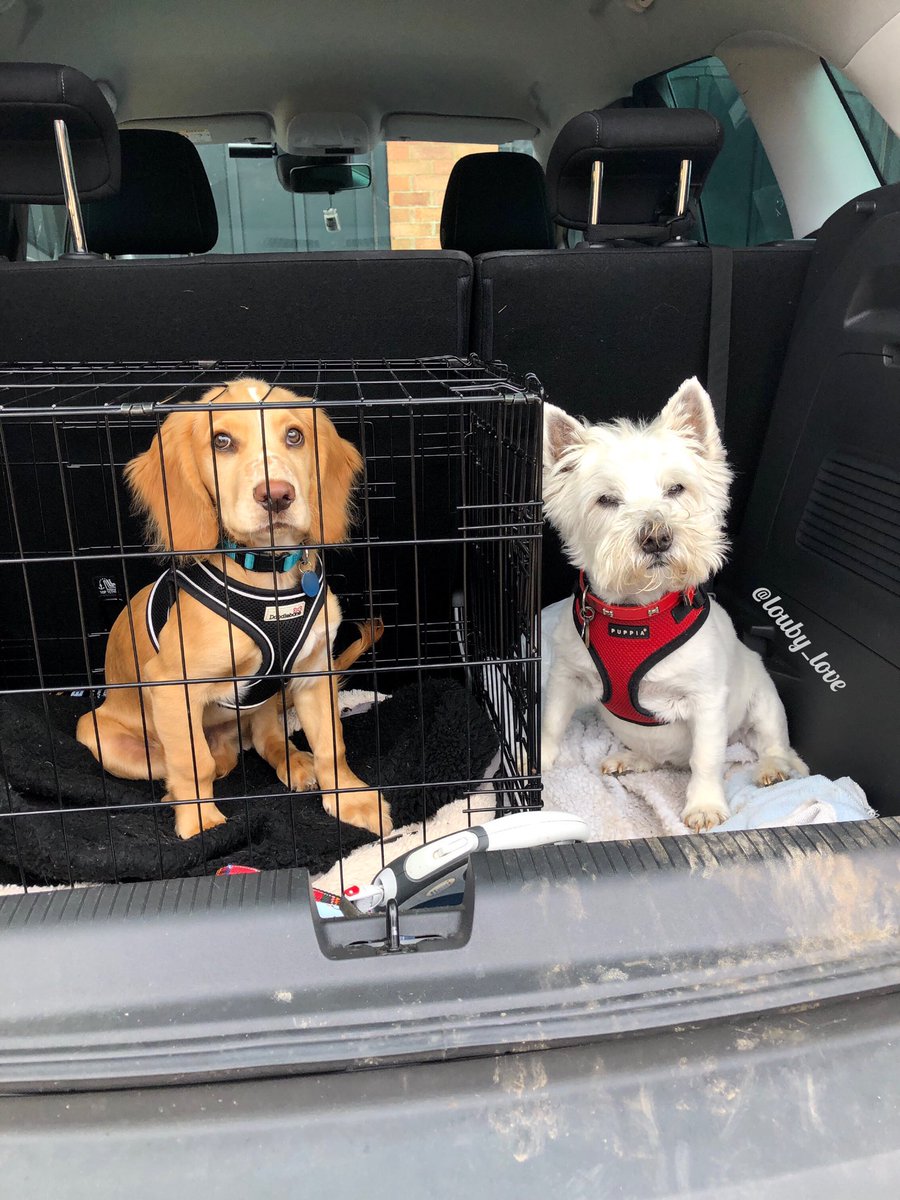 louby_love's tweet image. The prisoner and the guard! 👮‍♀️