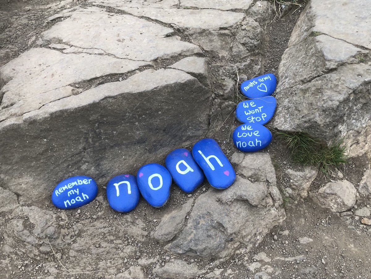 Top of Cavehill earlier this evening #Noahsarmy