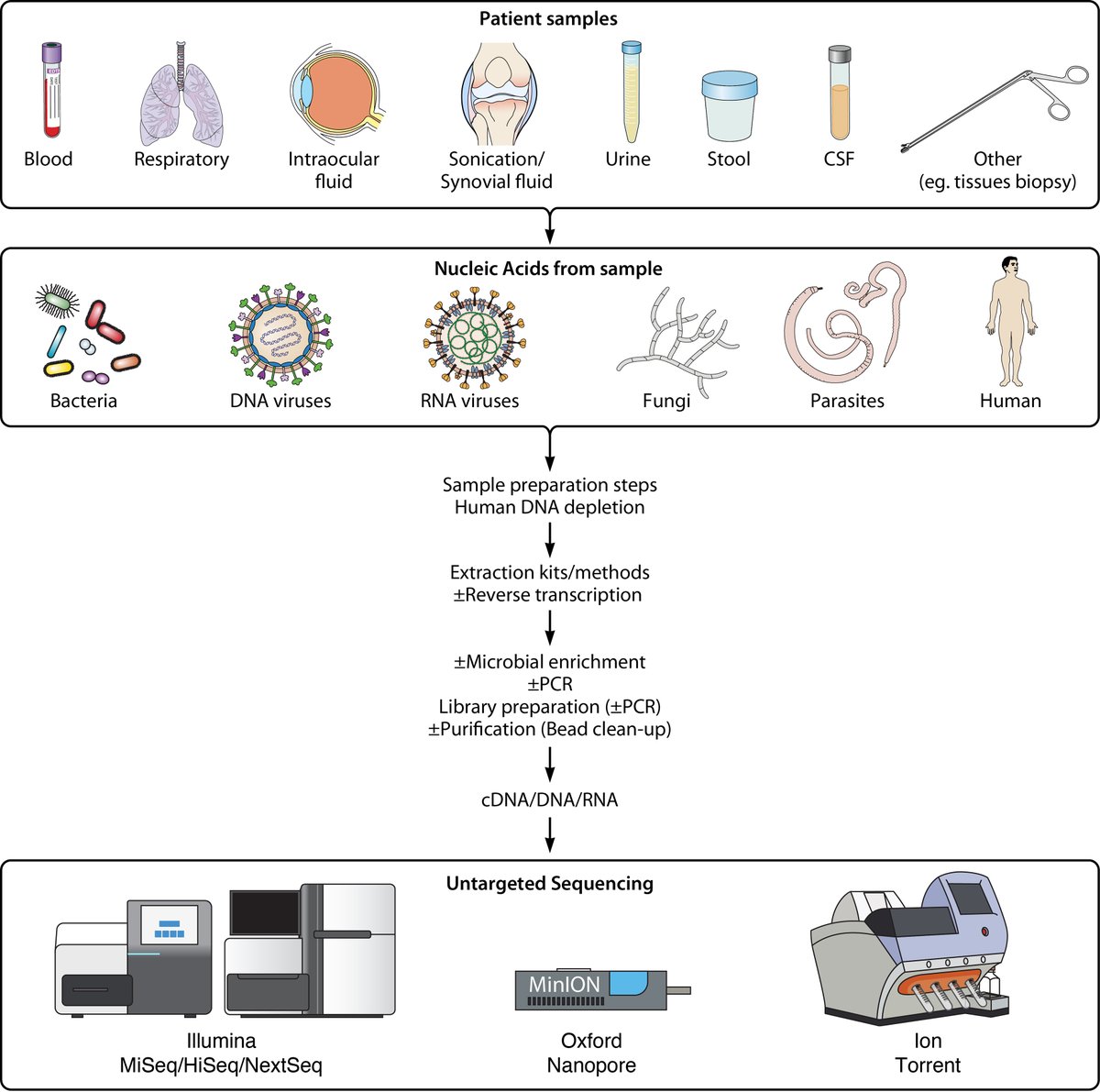 Metagenomic Sequencing as a Pathogen-Agnostic Clinical Diagnostic Tool for Infectious Diseases: a Systematic Review and Meta-analysis of Diagnostic Test Accuracy Studies

bit.ly/3t1S18B <a href="/ASMicrobiology/">ASM</a>