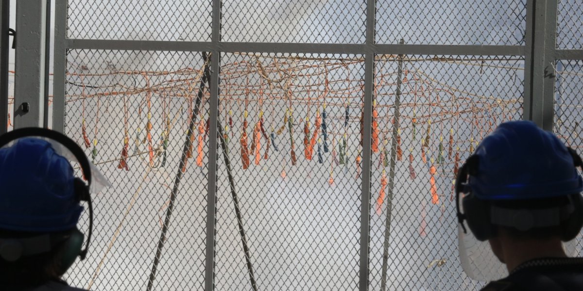 Mascletas y Castillos de fuegos artificiales para las Fallas 2021 tourismvalencia.com/noticias/19-ma…