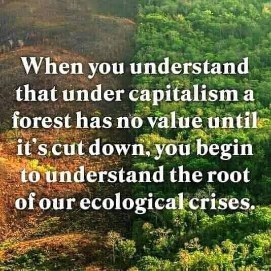 JPHilllllll's tweet photo. Pretty important that we grasp this like right now https://t.co/B5M0M89kz0