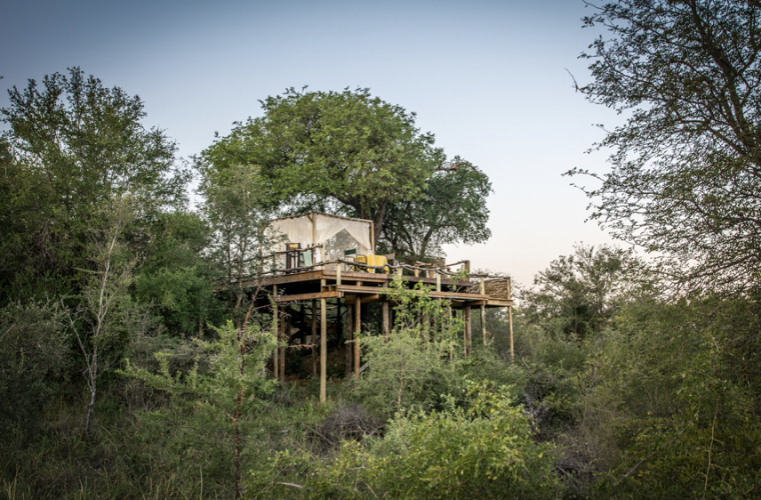 Garonga Safari Company tweet media