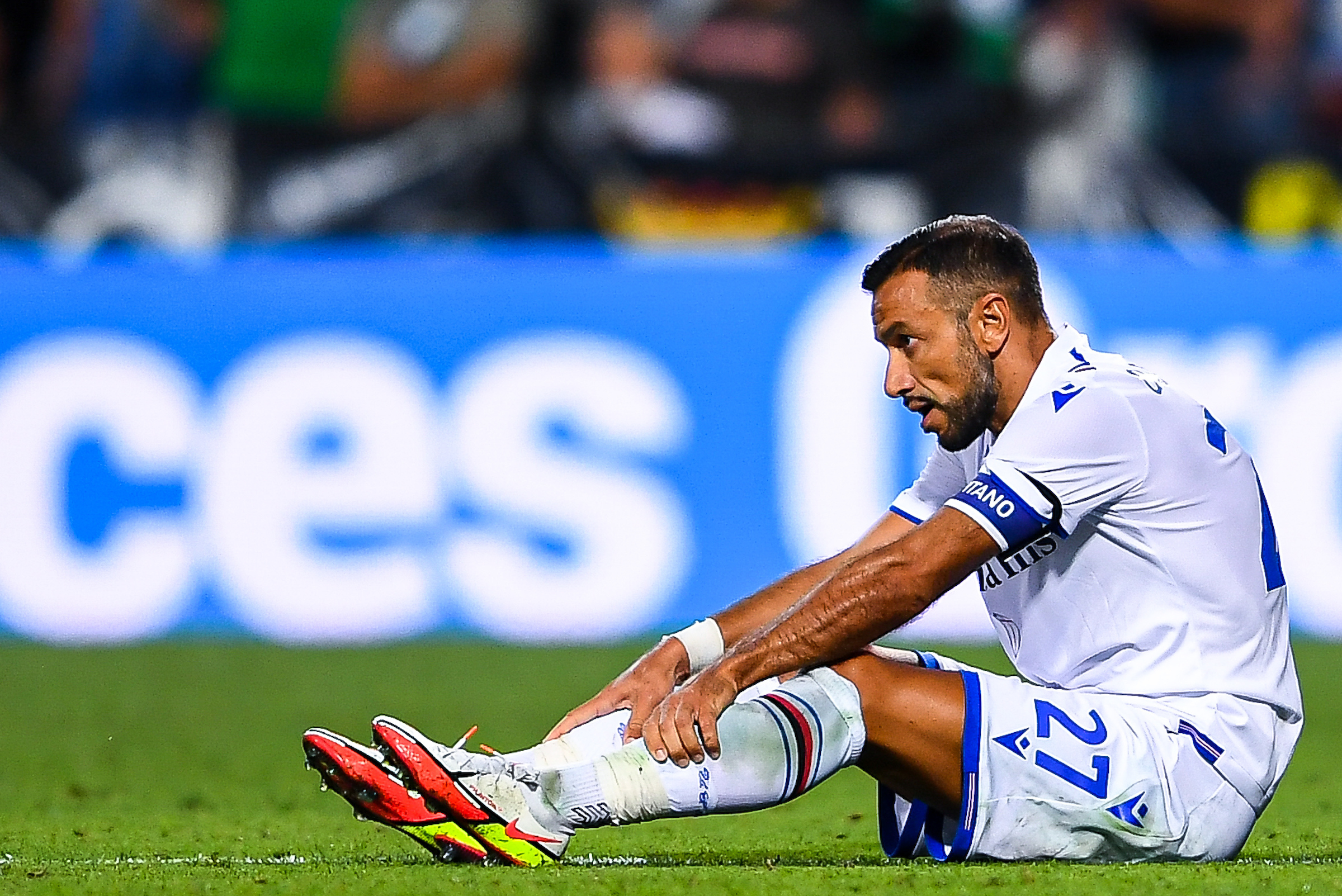 quagliarella twitter search twitter