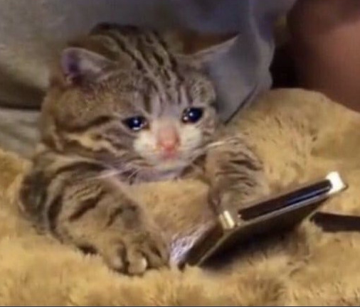 Sitting here in Florida seeing everyone tweet about going to lans. I wish Florida actually had a CS community :(