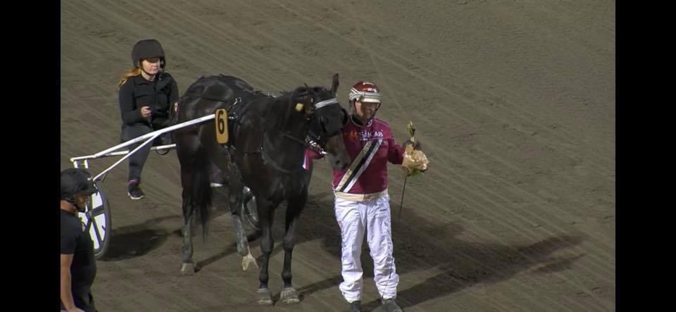 Vilken kväll vi hade på Axevalla! Four guys dream chockar oss och flyger till vinst efter frånvaro kort före vår andra häst Mad princess. Hilltop hawk debuterade även för oss med en fin 5eplats. Resan hem blir lätt😀