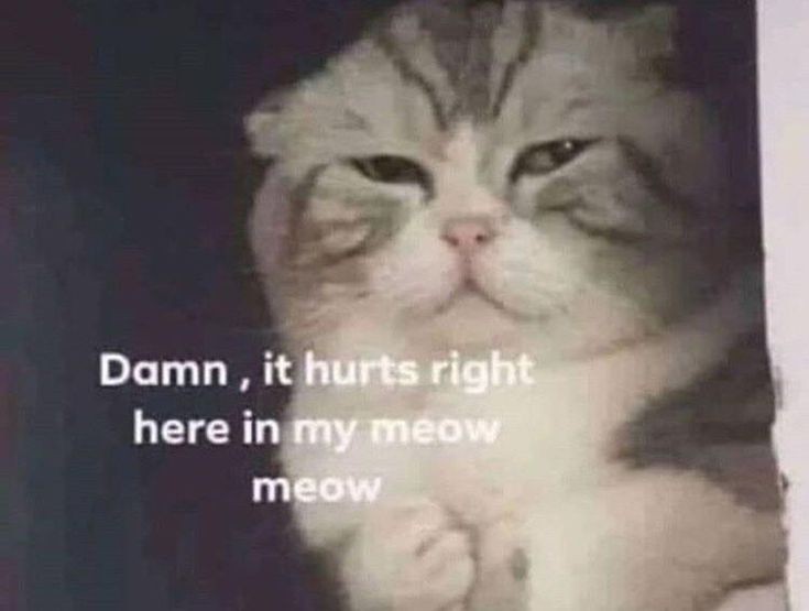 𝗝𝗜𝗔𝗡𝗬𝗨 𝗤𝗨𝗜-𝗟𝗜𝗡𝗚. (@ethirealy) on Twitter photo 