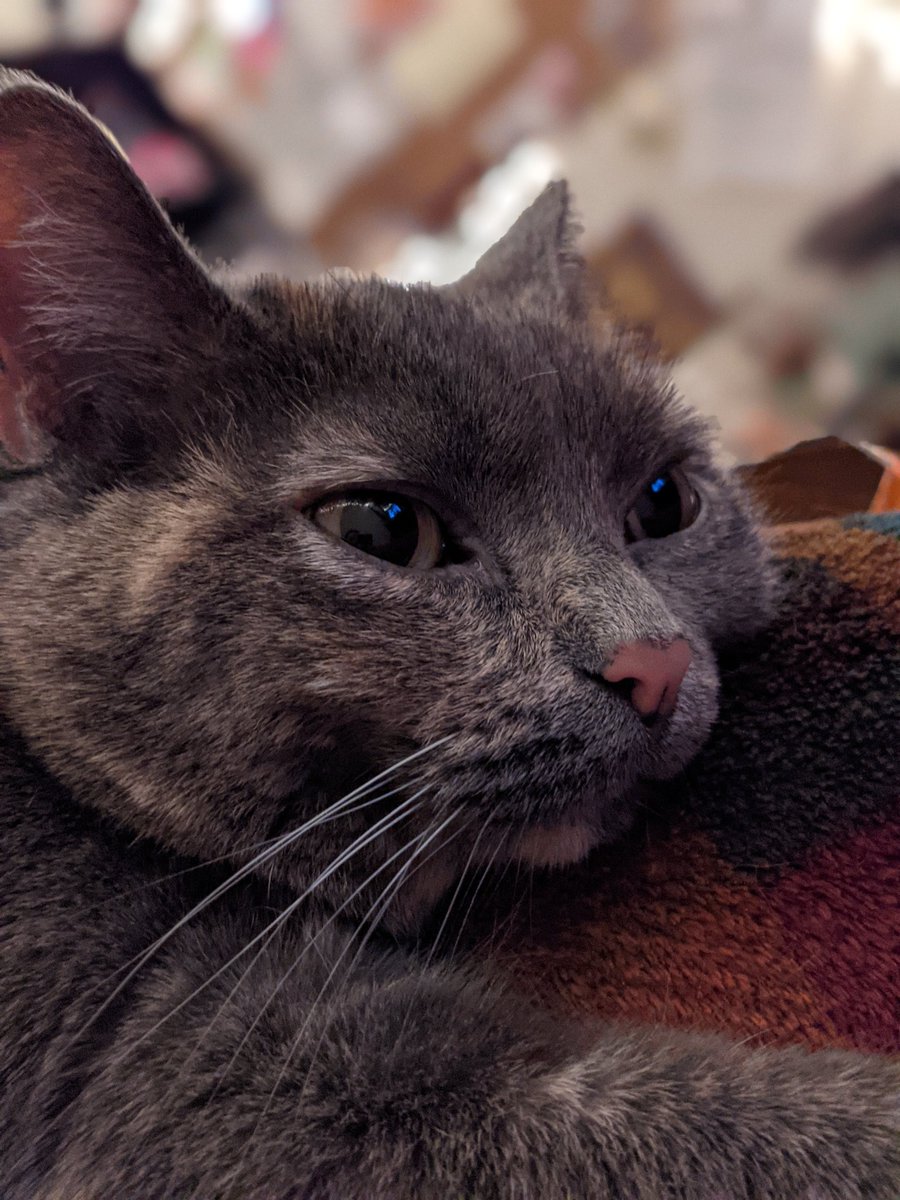 A_Shego_gay's tweet image. 